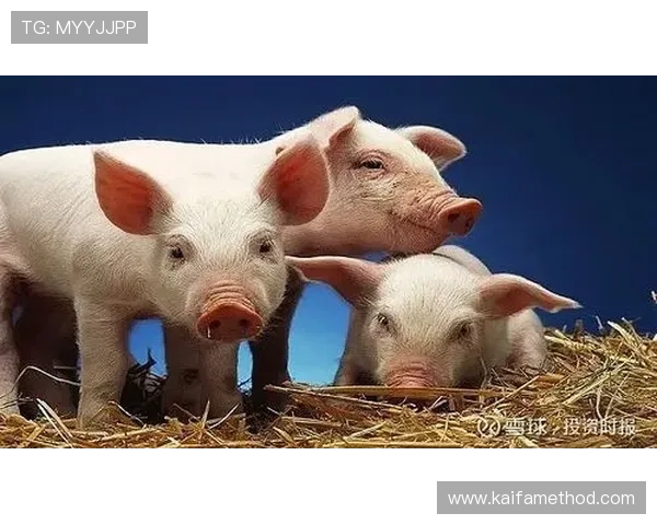 凯发公司在网络游戏行业中的市场份额与竞争优势详尽分析助力投资者决策